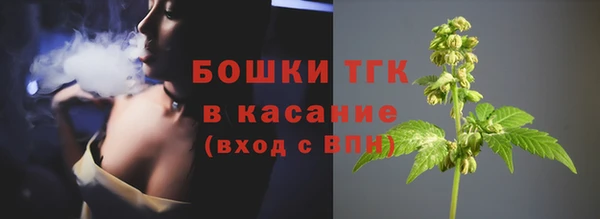 ГАЛЛЮЦИНОГЕННЫЕ ГРИБЫ Алзамай