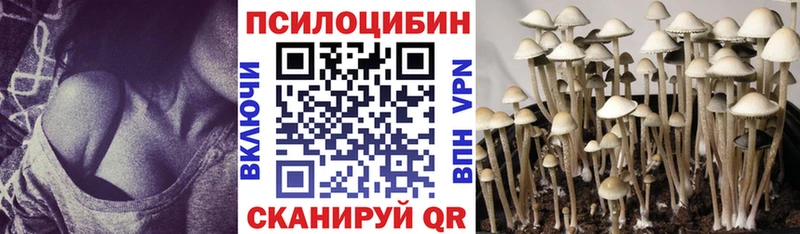 купить наркотики сайты  Туринск  Псилоцибиновые грибы прущие грибы 